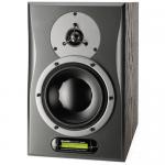 Dynaudio AIR12 Master D6