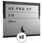 Комплект из двух карт Angelbird  AVP1TBCFX2-KIT