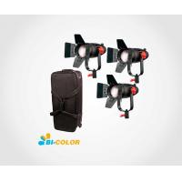 Светильник CAME-TV Boltzen B-30S-3PACK 