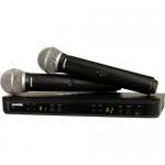 Радиосистема Shure BLX288E/PG58 M17