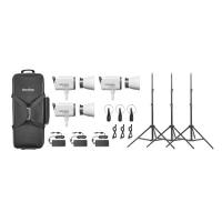 Комплект светодиодных осветителей Godox LITEMONS LA300R K3