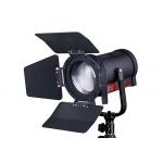 Светильник SWIT FL-C60D-PO